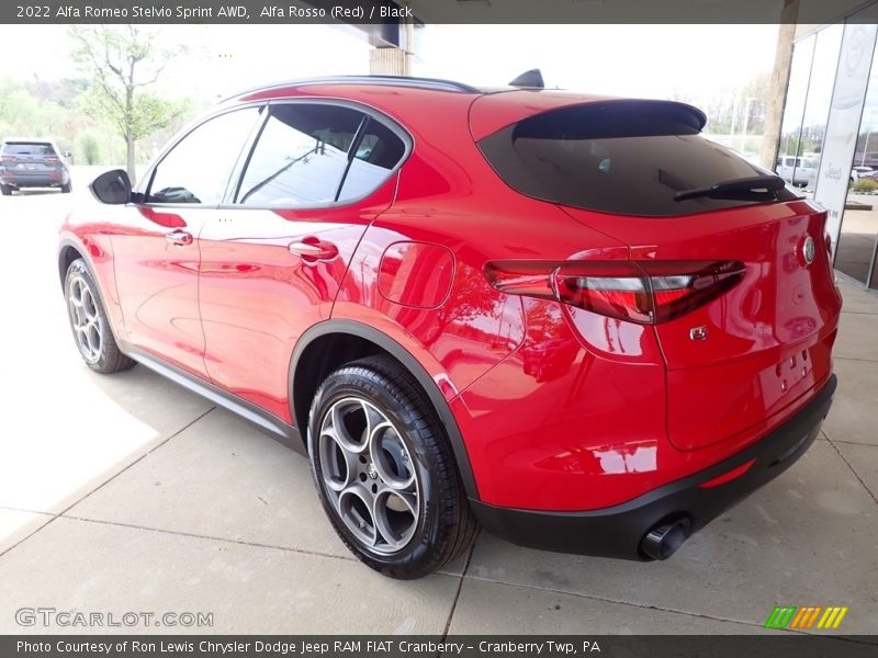 Alfa Rosso (Red) / Black 2022 Alfa Romeo Stelvio Sprint AWD