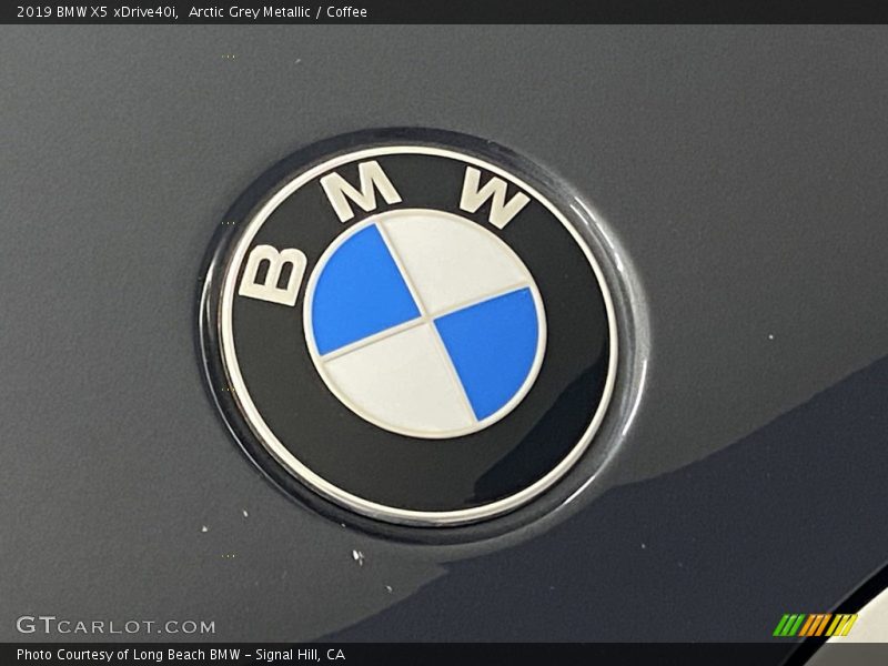 Arctic Grey Metallic / Coffee 2019 BMW X5 xDrive40i