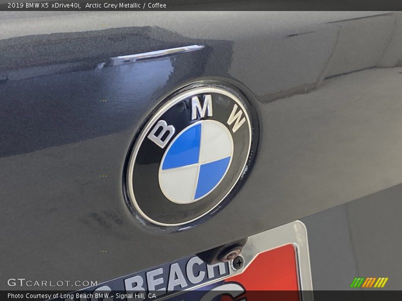 Arctic Grey Metallic / Coffee 2019 BMW X5 xDrive40i