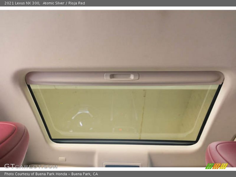 Atomic Silver / Rioja Red 2021 Lexus NX 300