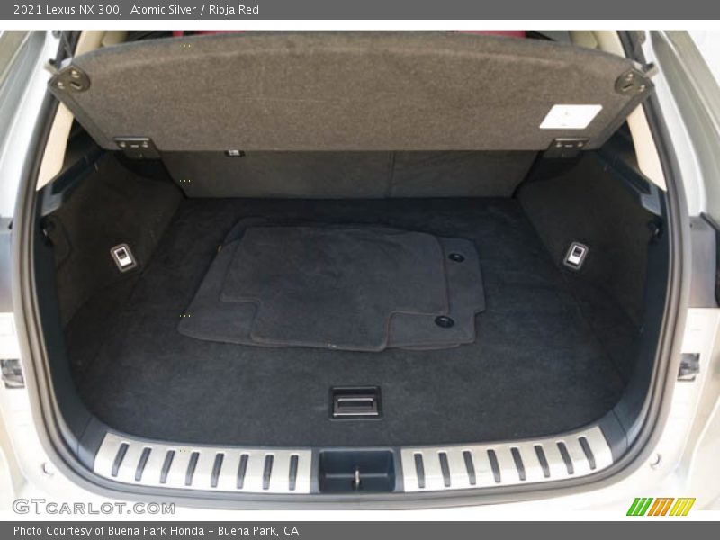  2021 NX 300 Trunk
