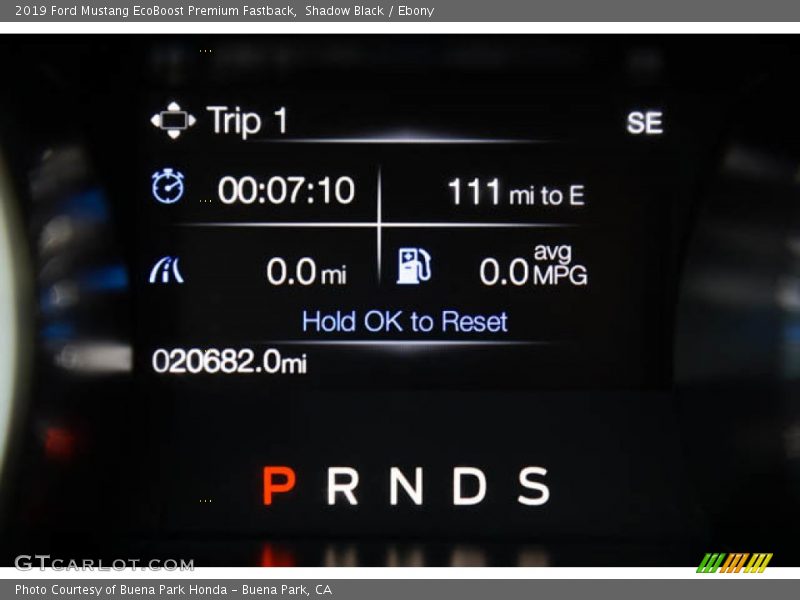 Shadow Black / Ebony 2019 Ford Mustang EcoBoost Premium Fastback
