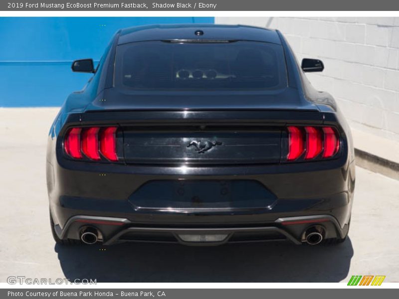 Shadow Black / Ebony 2019 Ford Mustang EcoBoost Premium Fastback