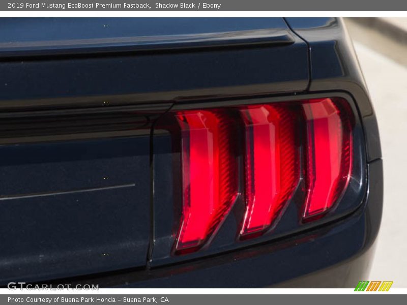 Shadow Black / Ebony 2019 Ford Mustang EcoBoost Premium Fastback