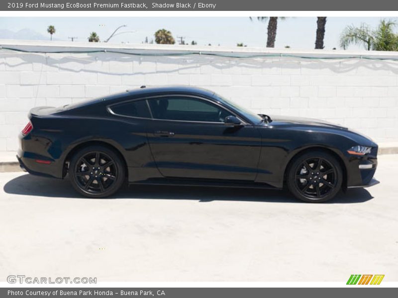 Shadow Black / Ebony 2019 Ford Mustang EcoBoost Premium Fastback