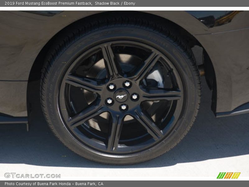 Shadow Black / Ebony 2019 Ford Mustang EcoBoost Premium Fastback