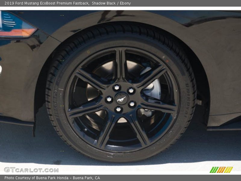 Shadow Black / Ebony 2019 Ford Mustang EcoBoost Premium Fastback