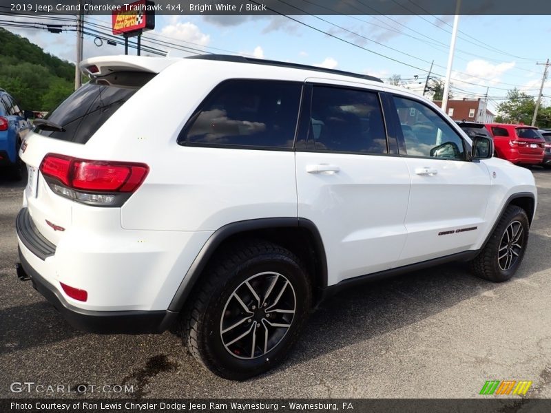 Bright White / Black 2019 Jeep Grand Cherokee Trailhawk 4x4