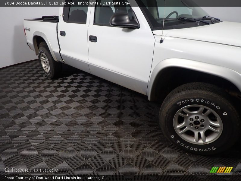 Bright White / Dark Slate Gray 2004 Dodge Dakota SLT Quad Cab 4x4