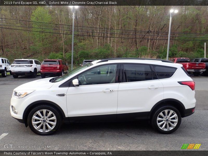 Oxford White / Chromite Gray/Charcoal Black 2019 Ford Escape SEL 4WD