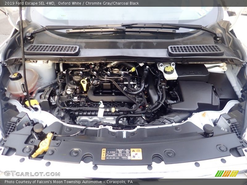 Oxford White / Chromite Gray/Charcoal Black 2019 Ford Escape SEL 4WD