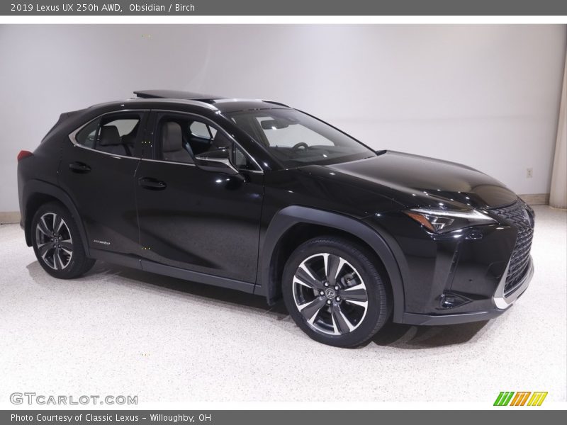 Obsidian / Birch 2019 Lexus UX 250h AWD