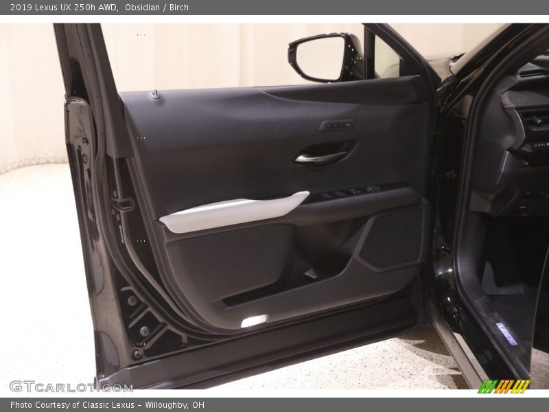 Obsidian / Birch 2019 Lexus UX 250h AWD