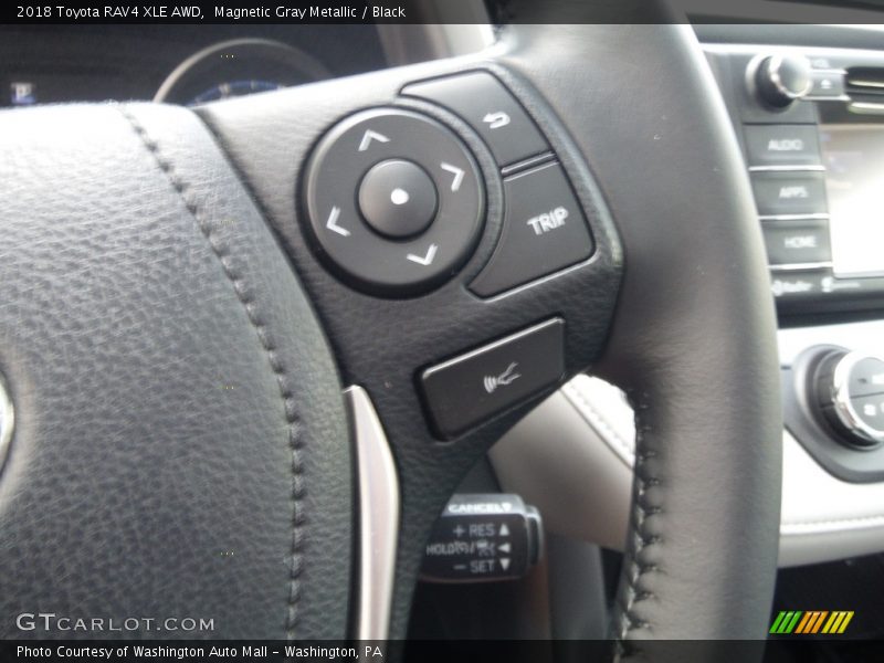 Magnetic Gray Metallic / Black 2018 Toyota RAV4 XLE AWD