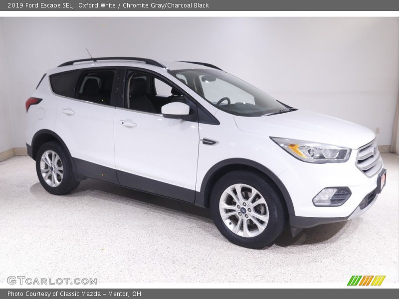 Oxford White / Chromite Gray/Charcoal Black 2019 Ford Escape SEL