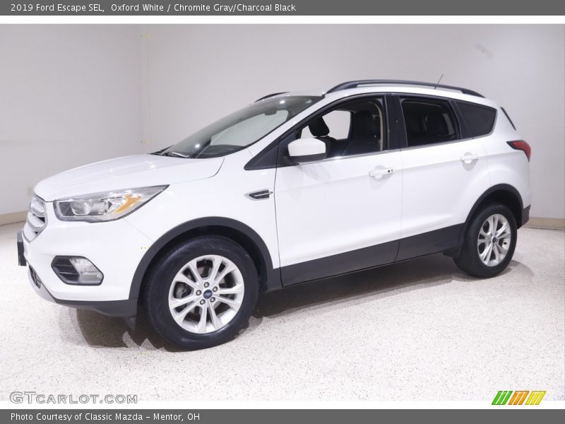 Oxford White / Chromite Gray/Charcoal Black 2019 Ford Escape SEL