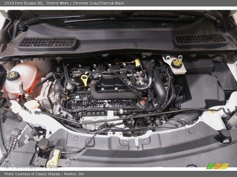 Oxford White / Chromite Gray/Charcoal Black 2019 Ford Escape SEL