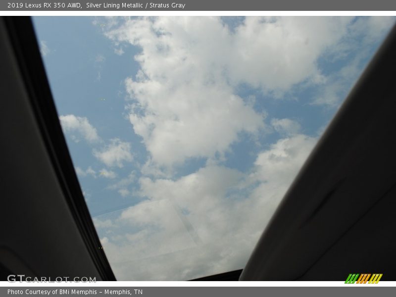 Silver Lining Metallic / Stratus Gray 2019 Lexus RX 350 AWD