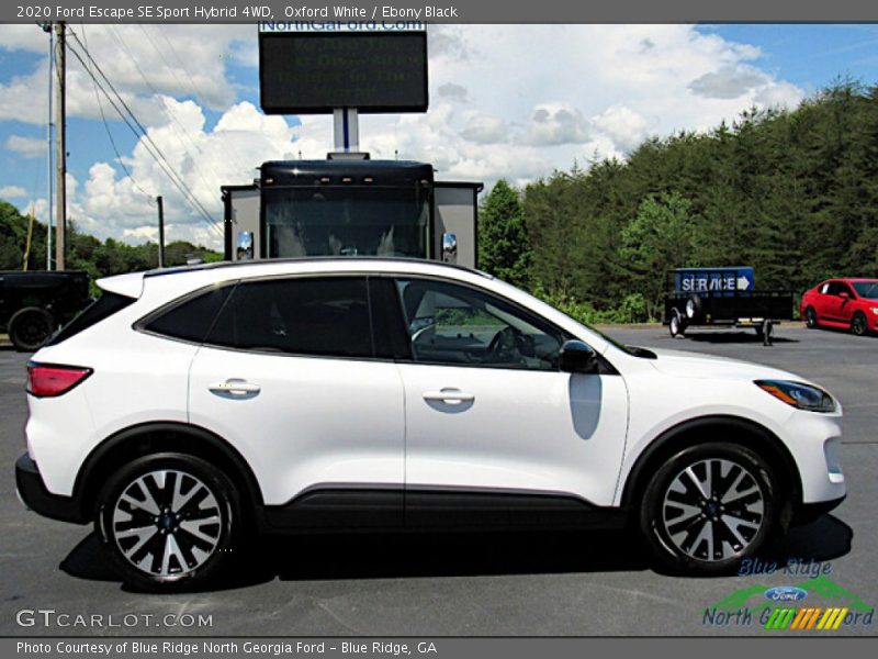Oxford White / Ebony Black 2020 Ford Escape SE Sport Hybrid 4WD