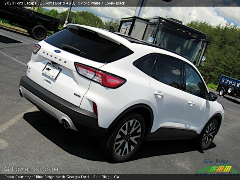 Oxford White / Ebony Black 2020 Ford Escape SE Sport Hybrid 4WD