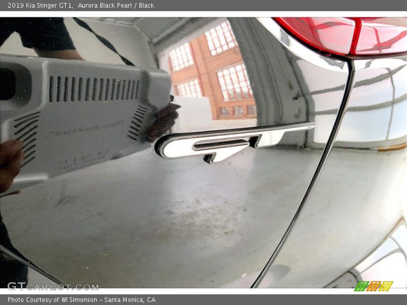  2019 Stinger GT1 Logo