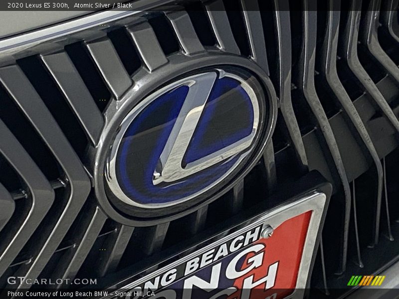 Atomic Silver / Black 2020 Lexus ES 300h