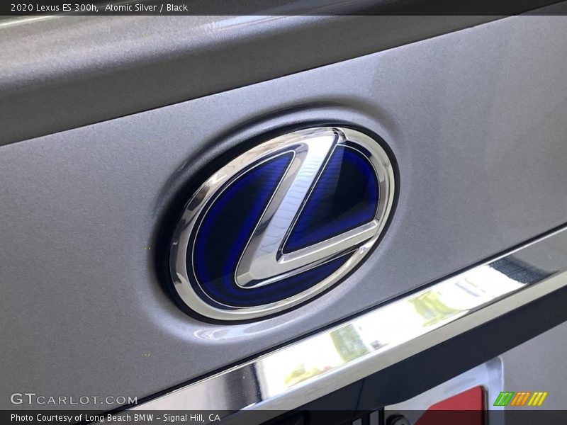 Atomic Silver / Black 2020 Lexus ES 300h
