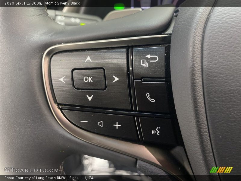 Atomic Silver / Black 2020 Lexus ES 300h