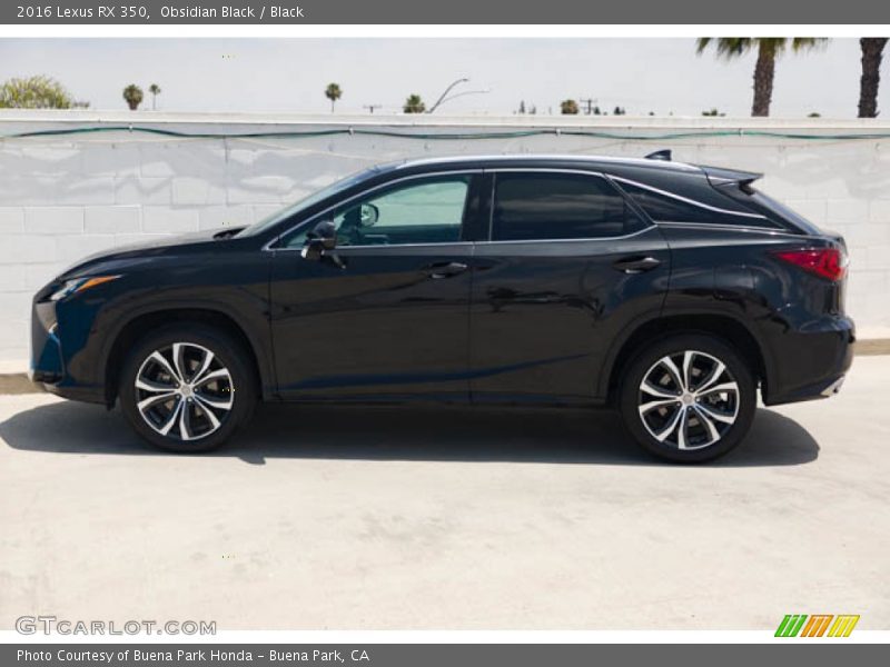 Obsidian Black / Black 2016 Lexus RX 350