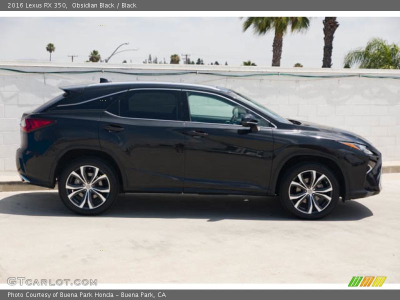 Obsidian Black / Black 2016 Lexus RX 350
