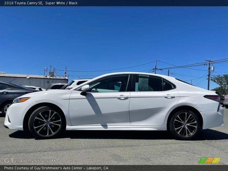 Super White / Black 2019 Toyota Camry SE