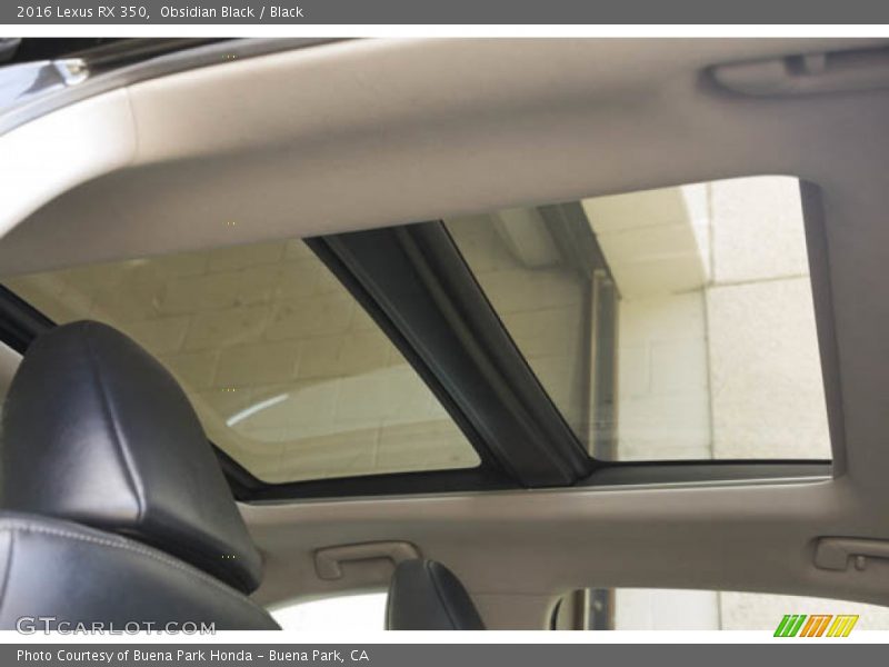 Obsidian Black / Black 2016 Lexus RX 350