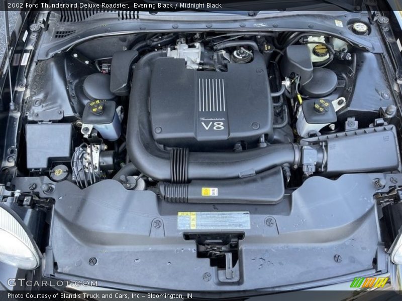 Evening Black / Midnight Black 2002 Ford Thunderbird Deluxe Roadster
