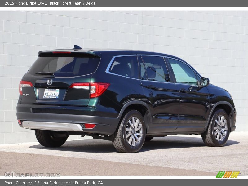 Black Forest Pearl / Beige 2019 Honda Pilot EX-L