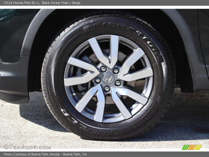 Black Forest Pearl / Beige 2019 Honda Pilot EX-L