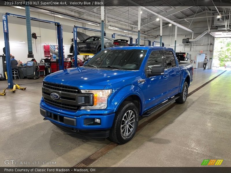 Velocity Blue / Black 2019 Ford F150 XLT SuperCrew 4x4