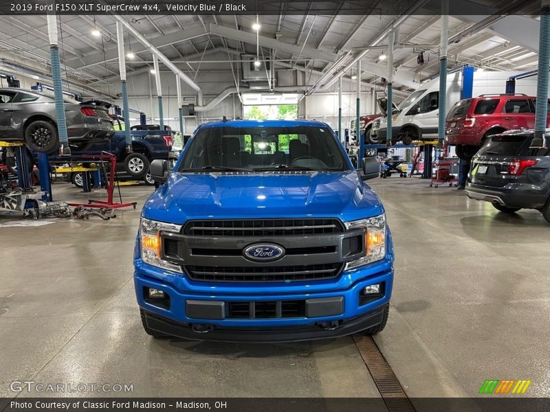 Velocity Blue / Black 2019 Ford F150 XLT SuperCrew 4x4