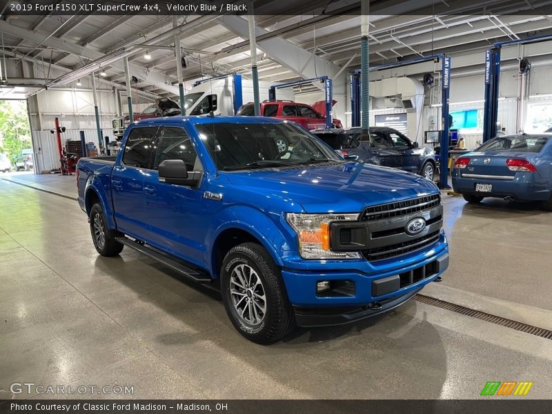 Velocity Blue / Black 2019 Ford F150 XLT SuperCrew 4x4