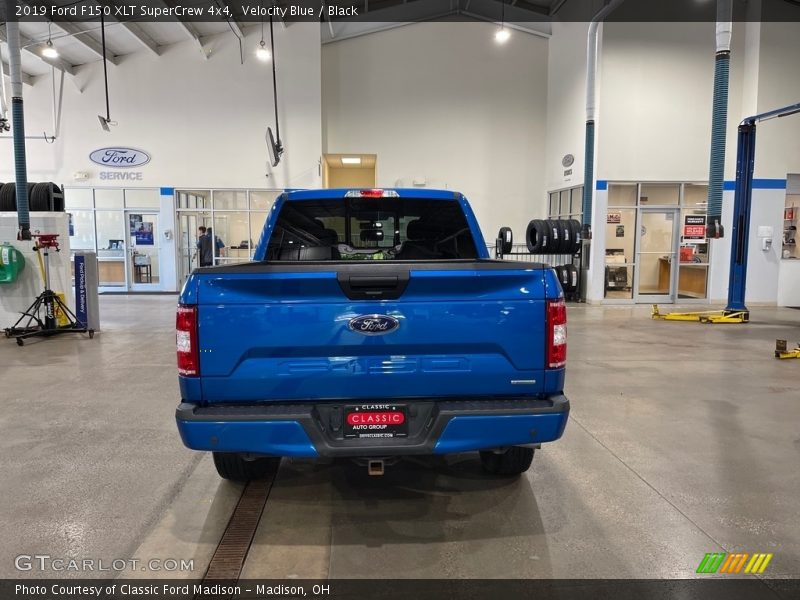 Velocity Blue / Black 2019 Ford F150 XLT SuperCrew 4x4