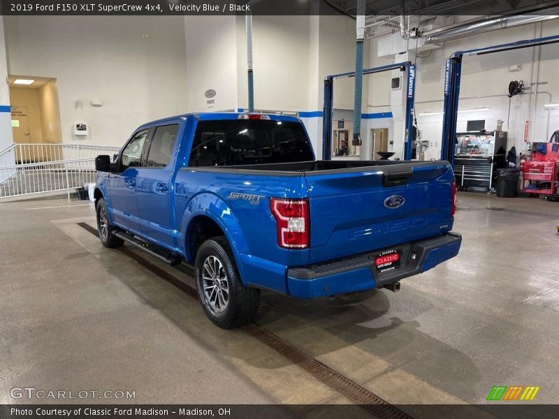 Velocity Blue / Black 2019 Ford F150 XLT SuperCrew 4x4