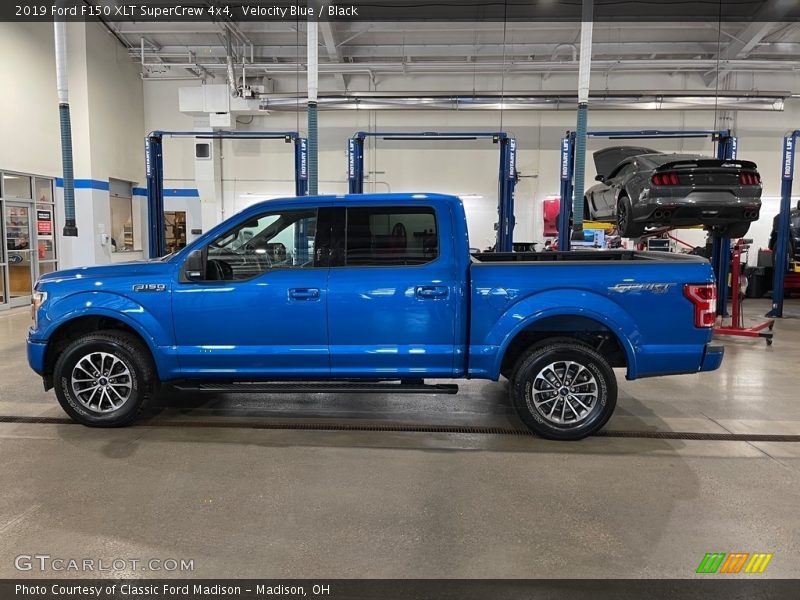 Velocity Blue / Black 2019 Ford F150 XLT SuperCrew 4x4