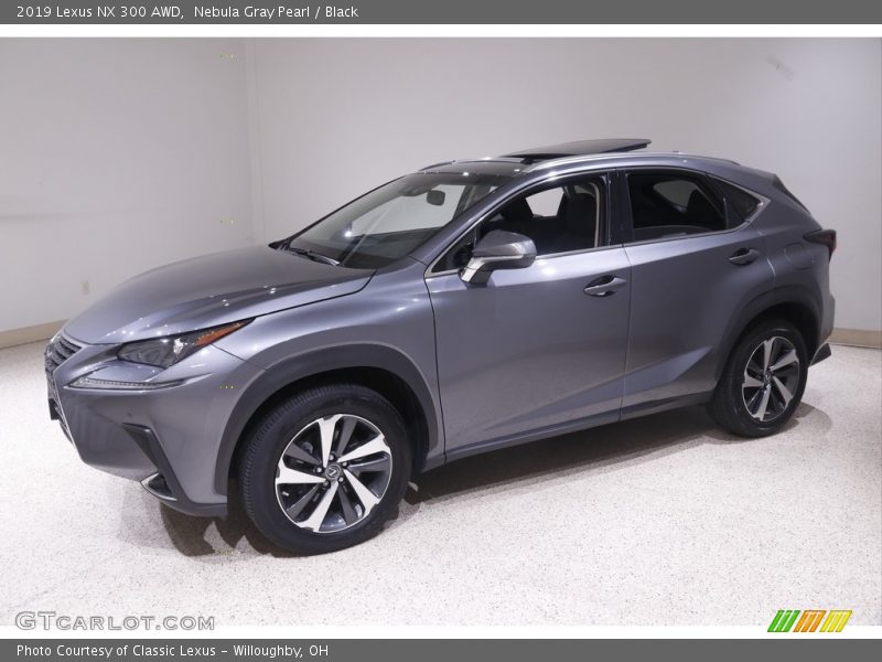 Nebula Gray Pearl / Black 2019 Lexus NX 300 AWD