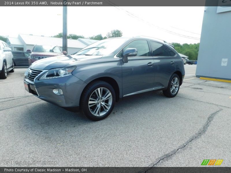 Nebula Gray Pearl / Parchment 2014 Lexus RX 350 AWD