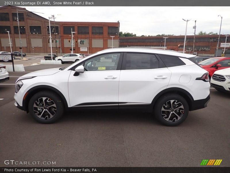  2023 Sportage EX AWD Snow White Pearl