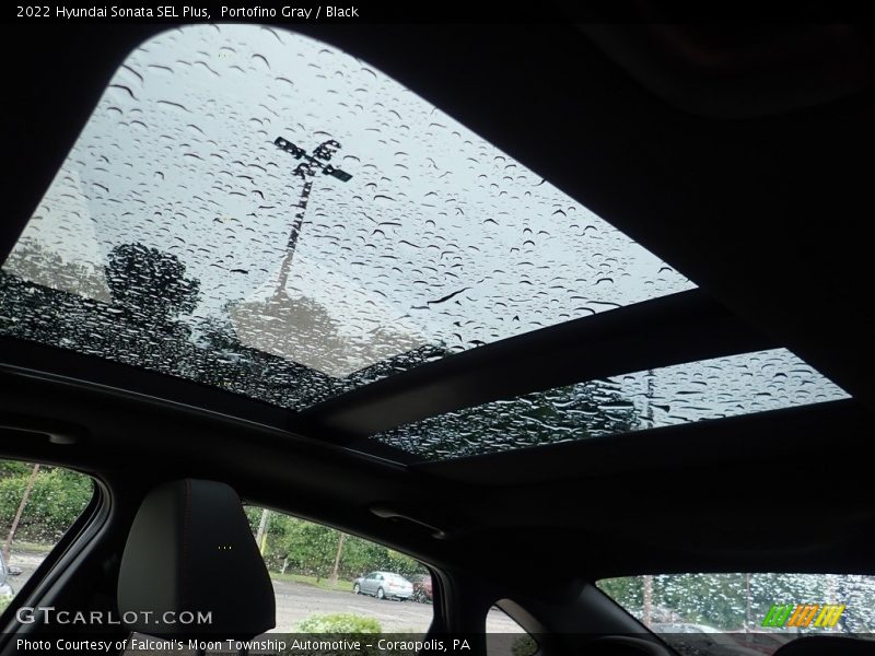 Portofino Gray / Black 2022 Hyundai Sonata SEL Plus