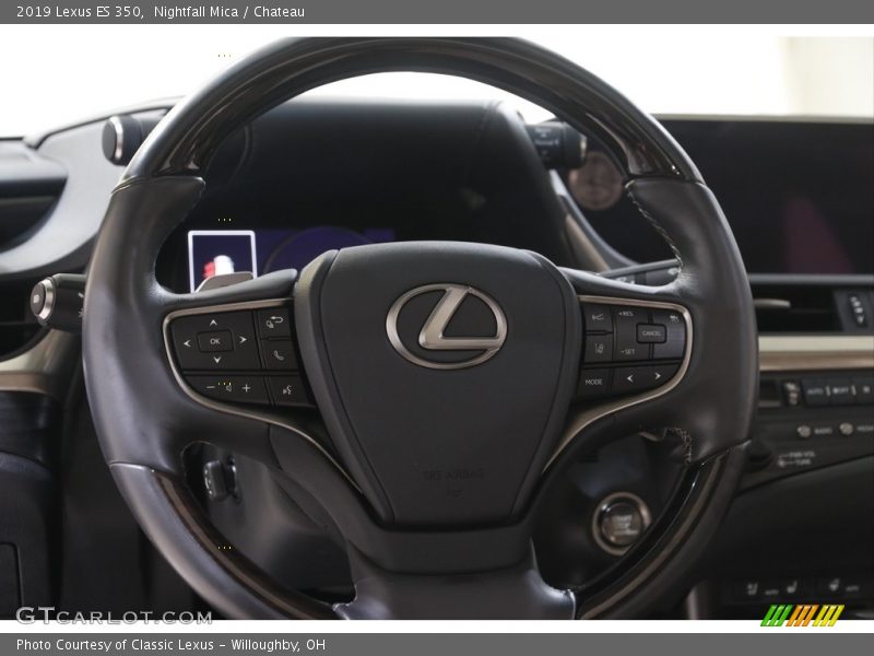 Nightfall Mica / Chateau 2019 Lexus ES 350