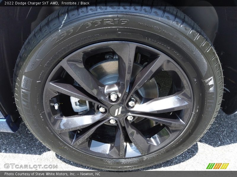 Frostbite / Black 2022 Dodge Charger SXT AWD