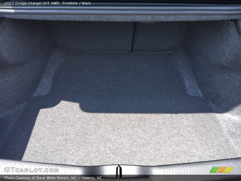 Frostbite / Black 2022 Dodge Charger SXT AWD
