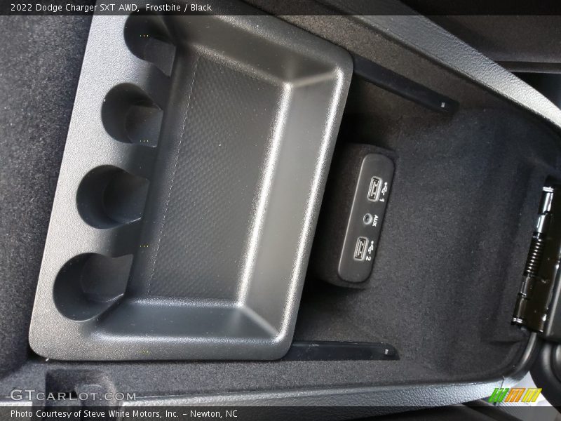 Frostbite / Black 2022 Dodge Charger SXT AWD