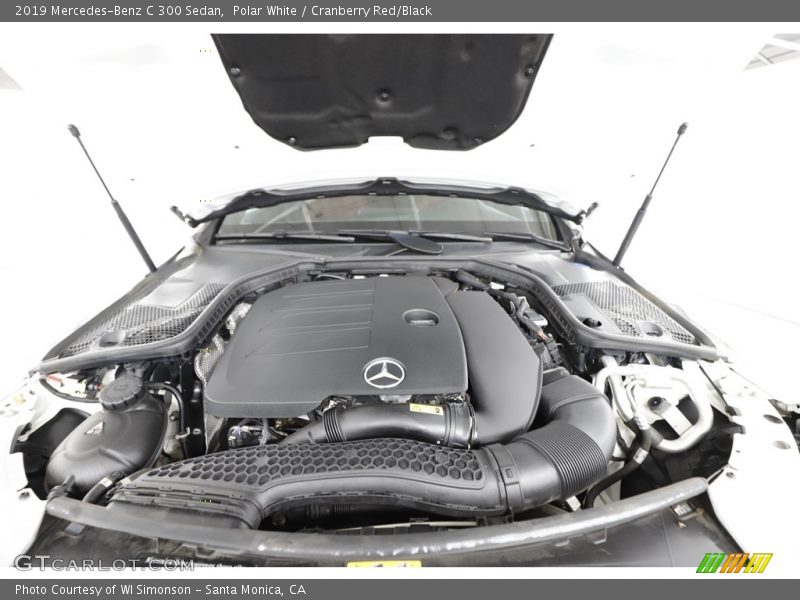 Polar White / Cranberry Red/Black 2019 Mercedes-Benz C 300 Sedan